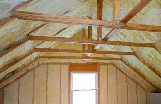 Best Home Insulation Services  in Shallowater, TX