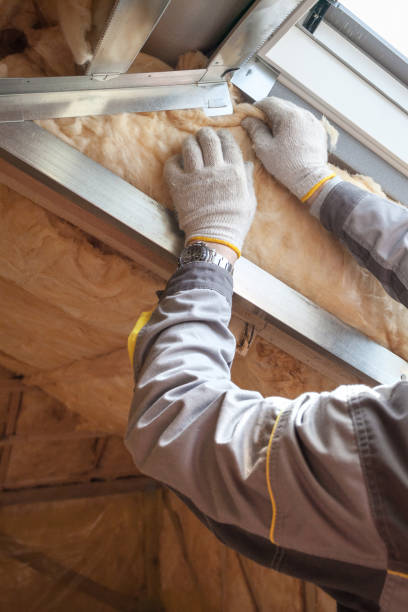 Garage Insulation Installation in Shallowater, TX