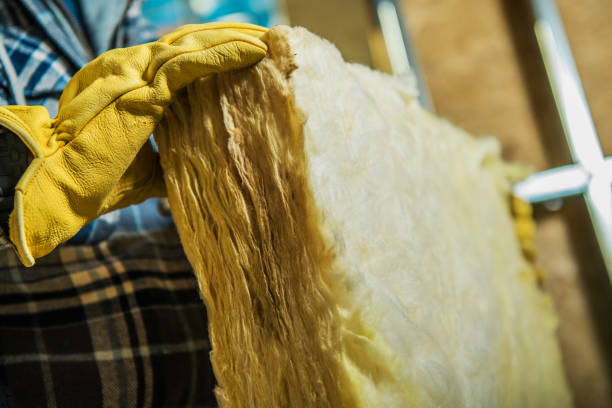 Best Home Insulation Services  in Shallowater, TX