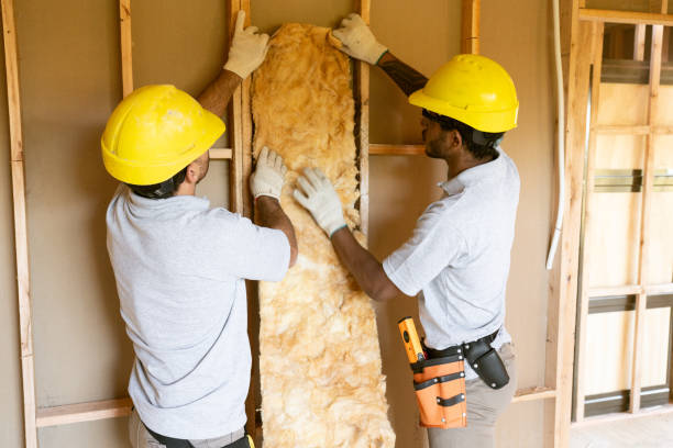 Best Wall Insulation Contractor  in Shallowater, TX